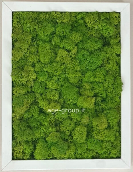 Quadro stabilizzato